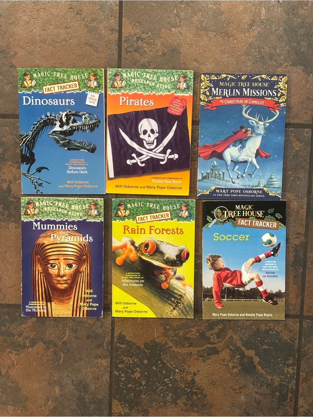 Magic Tree House book bundle